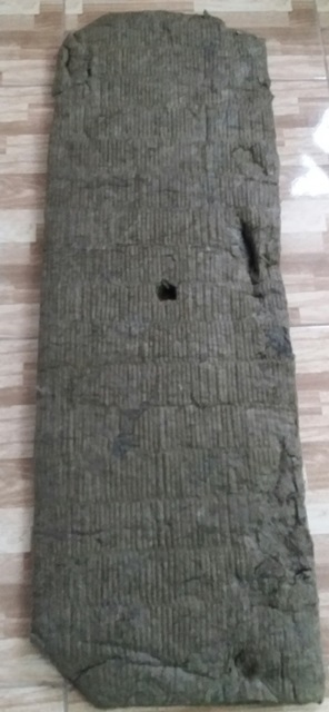 50956.JPG